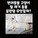 미미 펫 그루밍 | 반려동물 고양이 털 제거 용품 끝판왕 무엇일까?