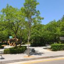 까치공원 맞은편 이미지