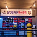 강화 용인대 복싱클럽 이미지