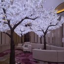 우리웰니스클럽 | 호캉스 끝판왕 인스파이어 오션타워 디럭스 더블퀸 룸 / 웰니스클럽 무료 수영장 이용!(내돈내산 솔직후기)