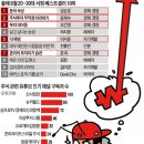 욜로 - 당진시 | 욜로