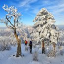 [12/28(토)] 태백산 산행 이미지