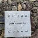 팔공산올레길 5코스 | 제주 올레길 5·6코스 후기🏝️ 바다, 동백나무군락지,정방폭포