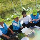 김순녀