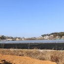 안산-대부-대부-4 이미지