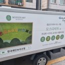 더식판 이미지