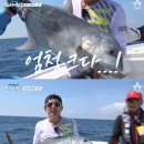 도시어부 한국경제