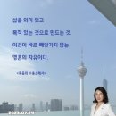 영혼의자유 네이버블로그