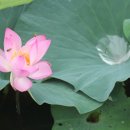 나산면사무소 | 오인교의 전라도누정기행-이인위미(里仁爲美)의 함평 이인정(里仁亭)