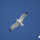 태안119안전센터-2 이미지