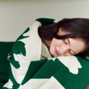 가비오타(GAVIOTA) 이미지