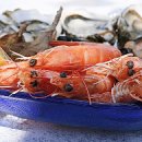 아연 카카오 검색결과