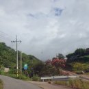 김천물소리생태숲_#1 이미지