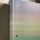 밝은 밤