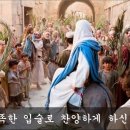 (주)하나특송