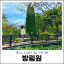제주도 서쪽 여행 부모님과 효도 관광 제주 방림원