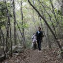 천년숲서로 이미지