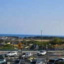 고래불 해수욕장 | [일상 #27] 포항 영덕 고속도로 방문 후기_영덕 고래불해수욕장_영덕 벌영리 메타스퀘어_포항영덕...