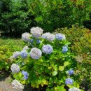 자연수산 이미지