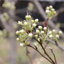 푸른농장2 이미지