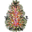 안락1동-4 이미지
