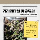 렙타일케이지 이미지