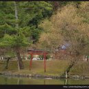 신도연못 옆 이미지