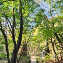 병목안시민공원 이미지