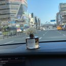 센트홀릭
