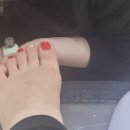 손토비발토비 이미지