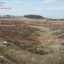 와룡리목장 이미지