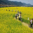 바이크 탐방로4 이미지