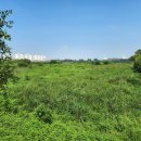 무성체육관 이미지