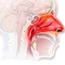 삼대경희한의원 이미지