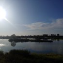 봉동교 옆 이미지