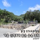 서정온천오토캠핑장 | 문경 STX오토캠핑장 가을 산책로가 좋은 숲속 캠핑