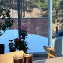 카페울림 | 판교 분당 대형카페 추천 | 주차 가능 카페 울림 내돈내산 후기