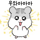 모여라보드게임카페