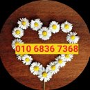 주식회사 신진바이오 이미지