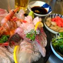 장안20 | 장안동 술집 장안의밤 숙성사시미 맥주 엄마와 오붓한 데이트 후기