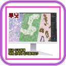 주식회사 루닛 이미지