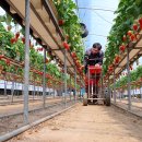 노두농장 이미지