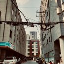 Seoul Best Stay 티스토리