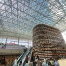 서울 코엑스 별마당 도서관 이용후기 가족, 연인 실내 데이트 추천 장소 주차