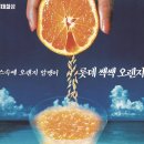 시청로 21(KT파주지사) | [파주카페제이드] 직접 삶은 팥이 들어간 팥빙수와 자몽알갱이 톡톡 터지는 자몽차 찐후기