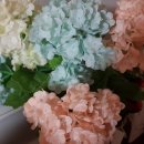 다산신시티부동산공인중개사사무소 이미지