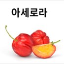 양정비타민약국 네이버블로그