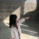 마츠하나 이미지