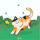 옥천면옥 이미지