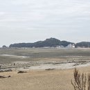 장고항 Daum카페